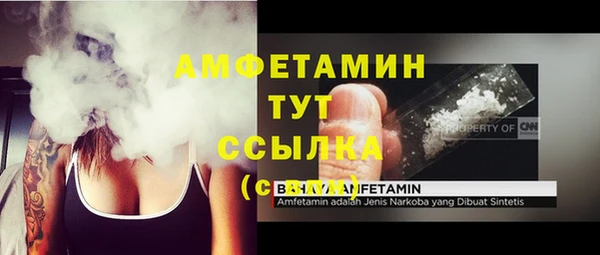 шишки Баксан